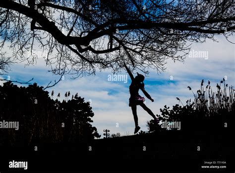 A jumping girl silhouette under the tree Stock Photo - Alamy