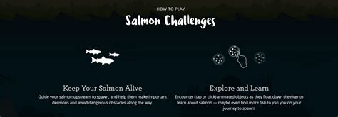 Fun Activities and Other Resources