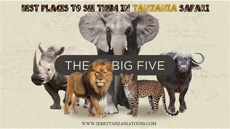 African Big Five Animals (Best Places To See Them in Tanzania Safari)