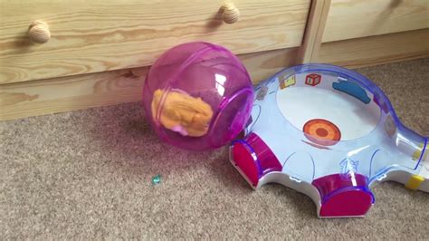 Zhu Zhu Pets Hamster Adventure Ball - YouTube