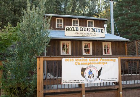 A nous la Californie: La mine Gold Bug de Placerville