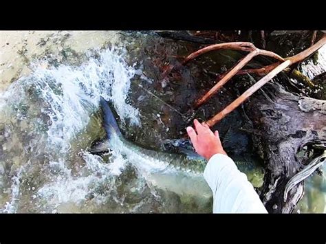 Tsunami Evict Review: A Lightweight, Powerful Fishing Reel | Outdoor Life