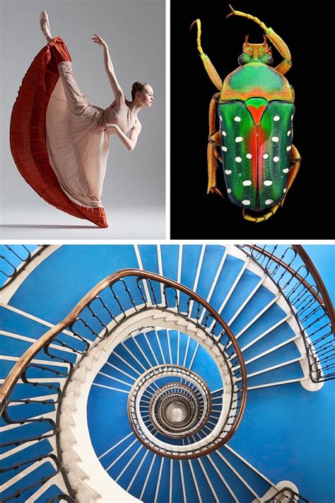 11 Types of Photography That Beautifully Illuminate Our World