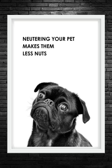 Funny Vet Quote Printable Wall Art - Neutering Your Pet Makes Them Less ...