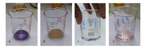 Résultats des réactions colorimétriques A : Réaction de Trinder ...