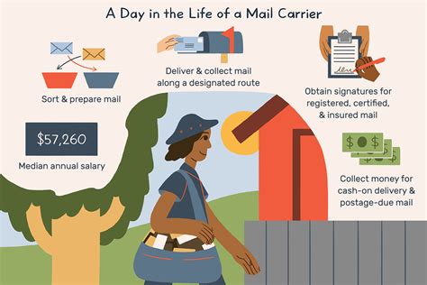 Mail Carrier Job Description: Salary, Skills, & More