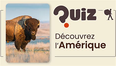 Quiz et tests de personnalité sur le voyage - Routard.com