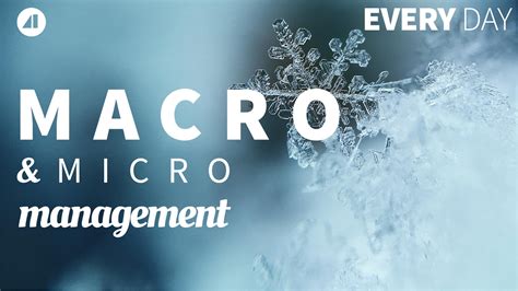 Macro Management and Micro Management - Episode 33