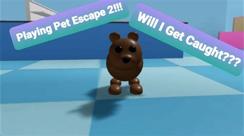 Playing Pet Escape 2 In Roblox!!!! Will I Get Caught??? - YouTube