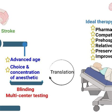 Improved translational impact of preclinical studies. All experimental ...