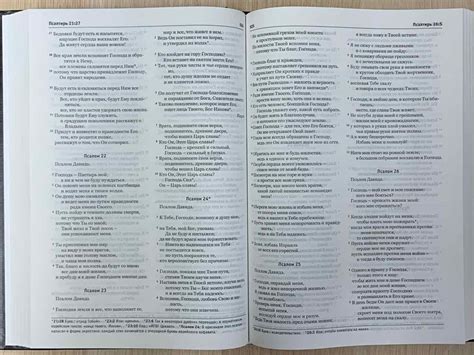 Библия в современном переводе (новый русский перевод) 073 цвет синий