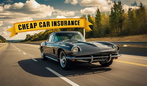 Cheap Car Insurance: The Ultimate Guide – Avocado