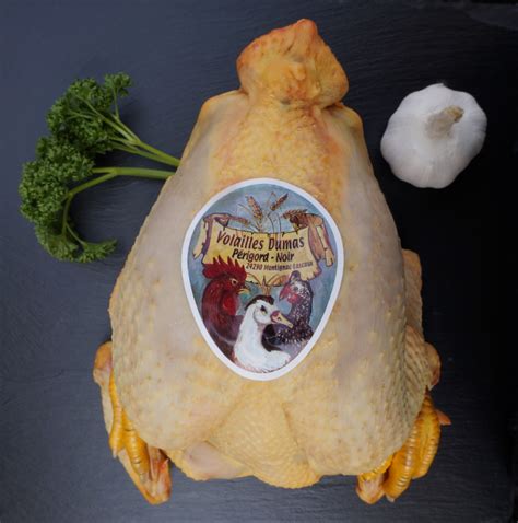 Volailles plein air : Poulet jaune