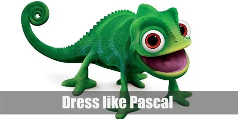 Pascal (Tangled) Costume for Halloween