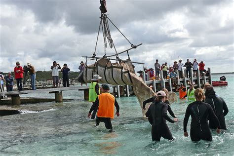 Trained volunteers make a real difference to saving stranded whales ...