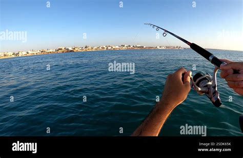 A sportsman fishing in kayak pulling out of water a fish hooked to a ...