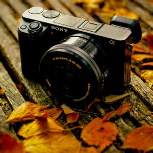 Photography 101: The Beginner's Guide to Photography