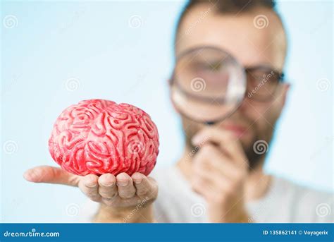 Man looking at human brain stock image. Image of neurology - 135862141