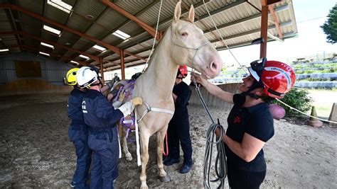 VIDEO. Les pompiers du Tarn et de la Haute-Garonne s'exercent au ...