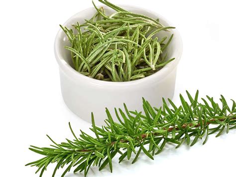 Rosemary: 10 Benefits of Rosemary