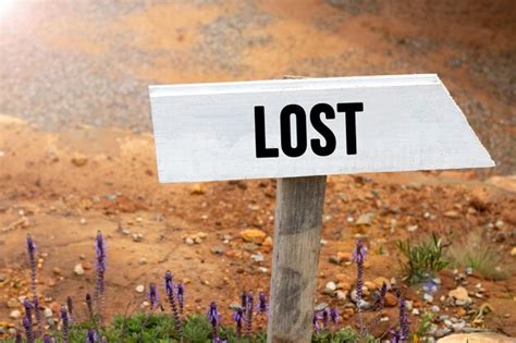 Images de S Est Perdu – Téléchargement gratuit sur Freepik