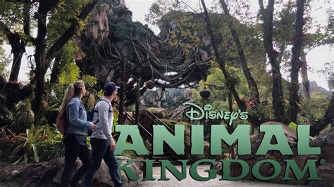 Une journée mémorable à Disney's Animal Kingdom!!