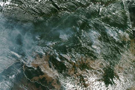 The Amazon Is On Fire, Brazil's Far-Right President May Be to Blame ...