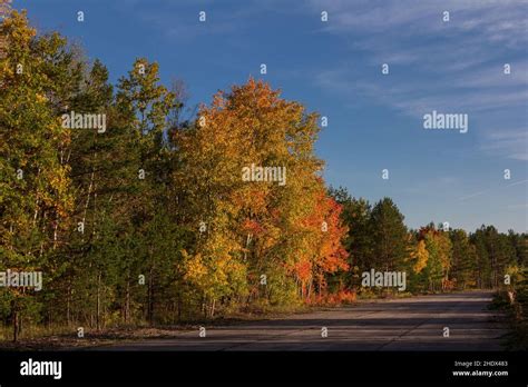 autumn, road, fall, roads, street, streets Stock Photo - Alamy