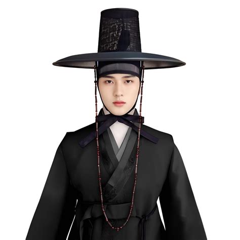 Saja Boys Hat (gat). Kpop Demon Hunters Hat. Traditional Korean Hat ...
