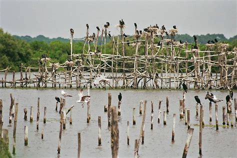 Le parc ornithologique du Teich