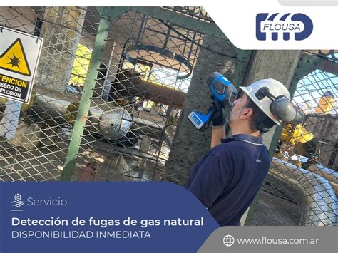 DETECCIÓN DE FUGAS DE GAS NATURAL - Flousa S.A.