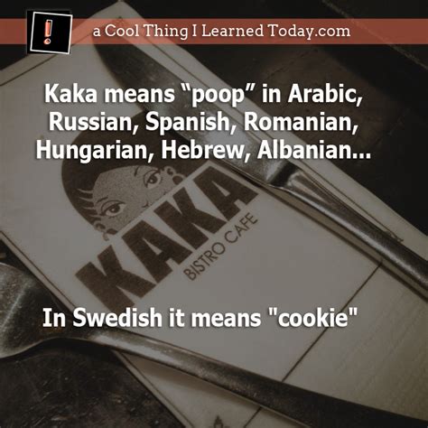 a cool thing i learned today .com — Kaka means poop Kaka/Caca means ...