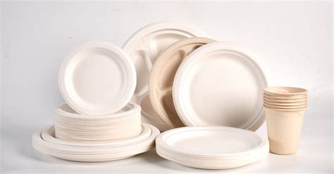 Bagasse Products 101 - GangXuan