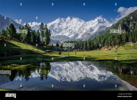 Fairy Meadows Viewpoint