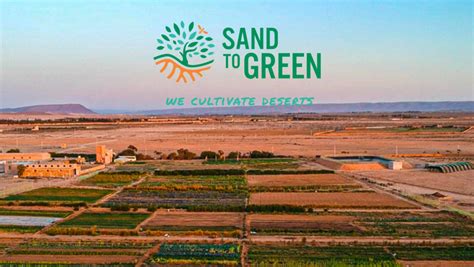 Sand to Green lève 1 million de dollars pour déployer son modèle de ...