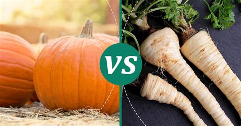 Parsnips vs Pumpkin: Nutrition, Calories & Protein Compared