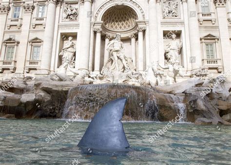 Shark Fin Seen Trevi Fountain Rome Editorial Stock Photo - Stock Image ...