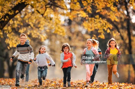 Large Group Of Happy Kids Running Through Autumn Leaves In The Park ...