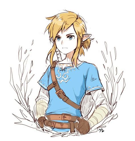 Link BOTW | Legend of zelda breath, Legend of zelda, Zelda art