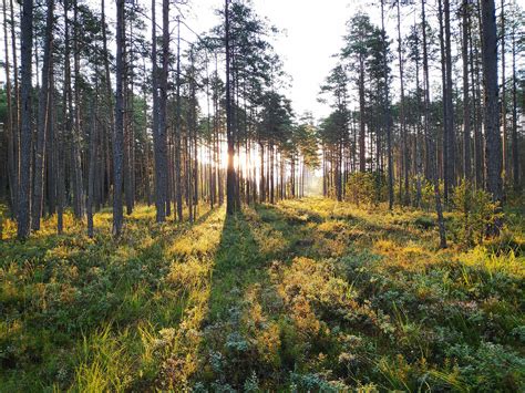 Grove Collaborative Leverages Accurate Emissions Data to Strengthen Eco ...