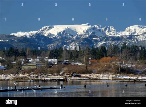 Courtenay Vancouver Island Stock Photos & Courtenay Vancouver Island ...