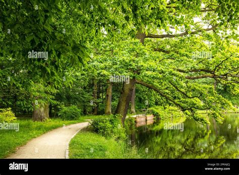 Lesnica park hi-res stock photography and images - Alamy
