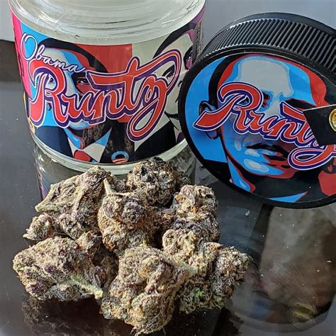 Obama Runtz Strain For Sale | Order Obama Runtz Strain online