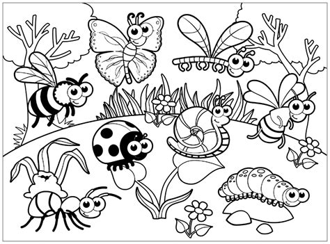 Coloring book page | Insect coloring pages, Bug coloring pages ...