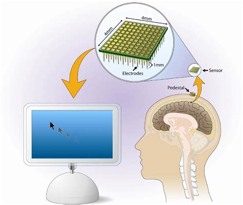 Brain Power: Mind Control of External Devices | Live Science