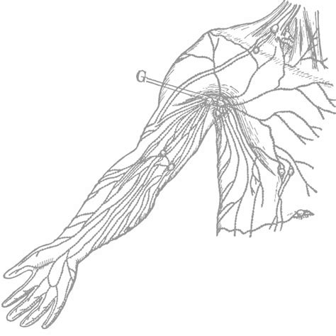 Drainage lymphatique - Centre d'HOZ