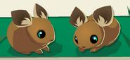 Pet Mouse | Animal Jam Classic Wiki | Fandom