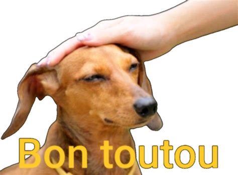 Sticker de LePotironDoux sur jvc bon toutou chien soumis soumission dog ...