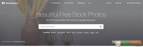 stocksnap素材网官网,国外无版权免费商用图库-168大卖家