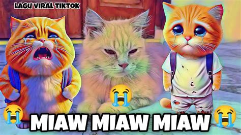 miaw miaw miaw miaw sound sad viral tiktok - YouTube